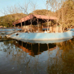 Danzoo Duck Park