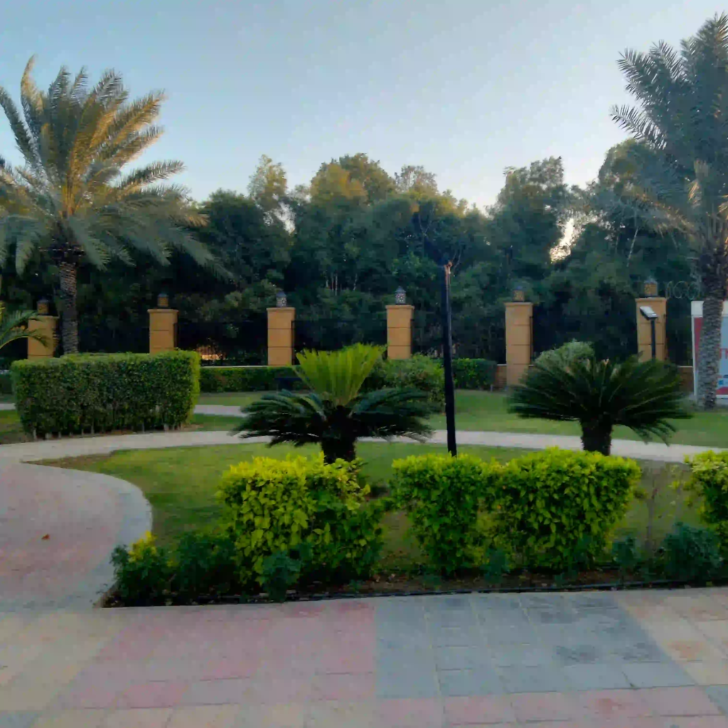 Danzoo Entrance