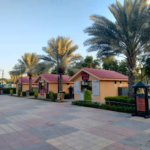 Danzoo Food Stalls Bahria Town Karachi