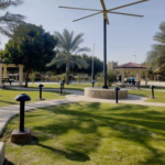 Danzoo btk park