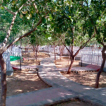 Danzoo childeren Petting Zoo