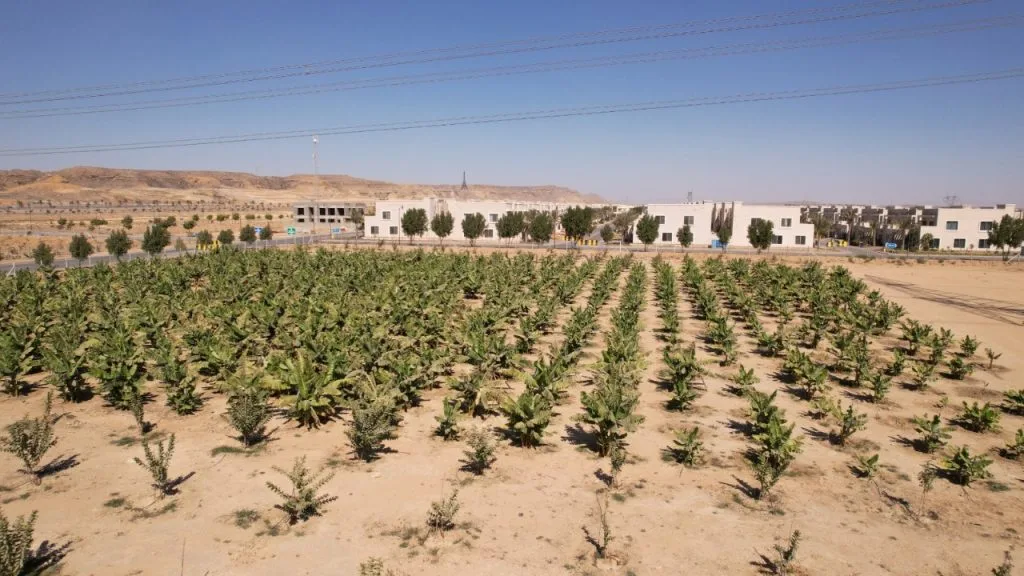 Fruits Farms in Bahria Town Karachi