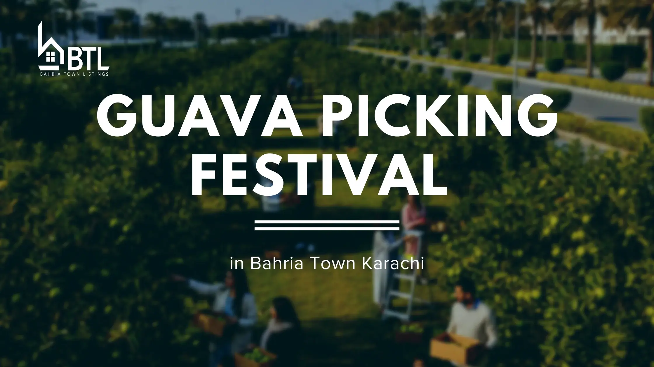 Guava Picking Festival in Bahria Town Karachi
